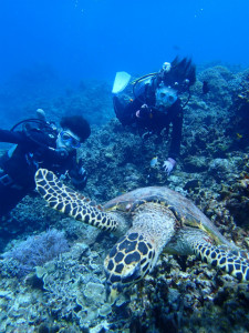 沖縄　体験ダイビング