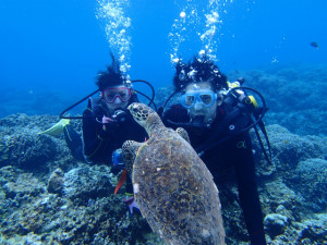 沖縄　体験ダイビング