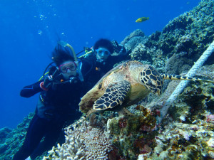 沖縄　体験ダイビング
