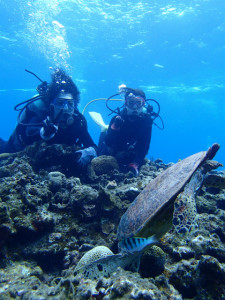 沖縄　ダイビング　慶良間　体験ダイビング