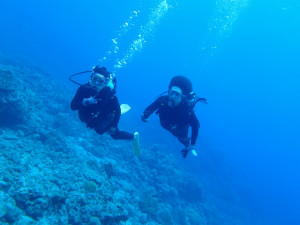 沖縄　ダイビング　慶良間　体験ダイビング