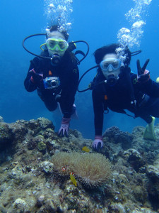 沖縄　体験ダイビング　慶良間