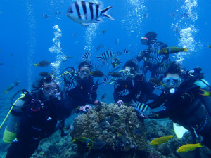 沖縄　体験ダイビング　慶良間