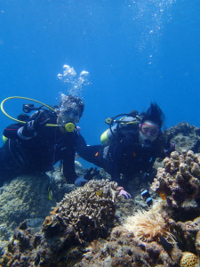 沖縄　ダイビング　慶良間　体験ダイビング