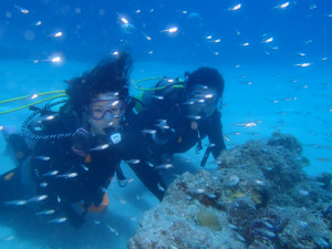 沖縄　ダイビング　慶良間　体験ダイビング