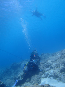 沖縄　ダイビング　慶良間　体験ダイビング