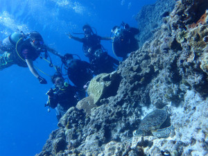 沖縄　ダイビング　慶良間