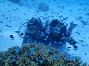 沖縄　ダイビング　慶良間　体験ダイビング