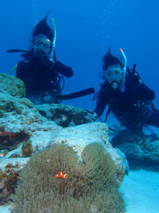 沖縄　ダイビング　慶良間　体験ダイビング