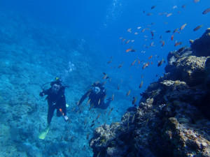 沖縄　ダイビング　慶良間　体験ダイビング