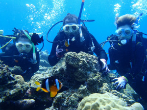 沖縄　ダイビング　慶良間　体験ダイビング