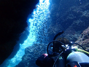 沖縄　ダイビング　慶良間　体験ダイビング　講習