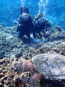 沖縄　ダイビング　慶良間　体験ダイビング