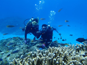 沖縄　ダイビング　慶良間　体験ダイビング