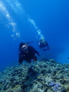 沖縄　ダイビング　慶良間　体験ダイビング