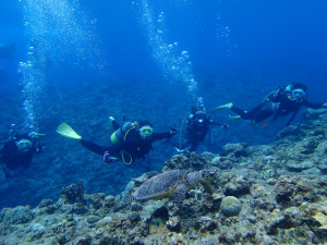 沖縄　ダイビング　慶良間　体験ダイビング