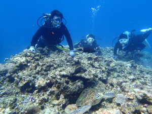 沖縄　ダイビング　慶良間　体験ダイビング　FUNダイビング