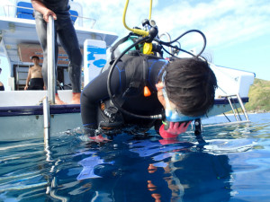 沖縄　ダイビング　慶良間　体験ダイビング　FUNダイビング