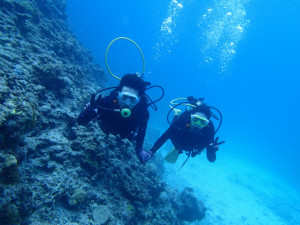 沖縄　ダイビング　慶良間　体験ダイビング　FUNダイビング