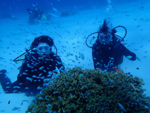 沖縄　体験ダイビング