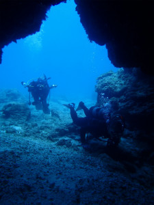 沖縄　ダイビング　慶良間　慶伊瀬　FUNダイビンング