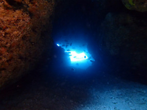 沖縄　ダイビング　慶良間　慶伊瀬　FUNダイビンング