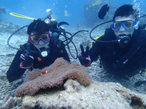 沖縄 ダイビング 慶良間 青の洞窟 体験ダイビング