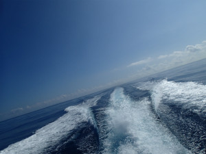 沖縄 ダイビング 慶良間 青の洞窟 体験ダイビング