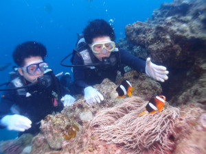 沖縄 ダイビング 青の洞窟 体験ダイビング