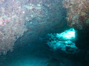 沖縄　ダイビング　慶良間　体験ダイビング