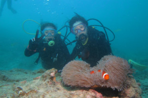 沖縄　体験ダイビング