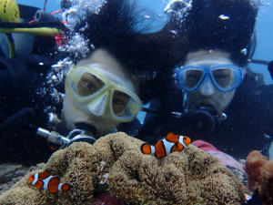 沖縄　ダイビング　近海ボート　体験ダイビング