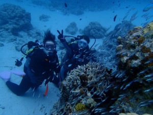 沖縄　ダイビング　慶良間　体験ダイビング