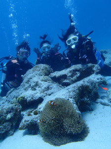 沖縄　ダイビング　慶良間　体験ダイビング