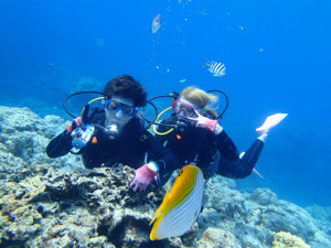 沖縄　ダイビング　慶良間　体験ダイビング
