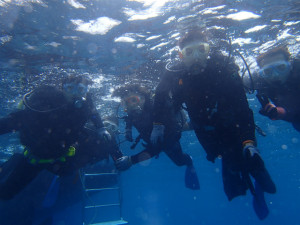 沖縄　体験ダイビング　水面