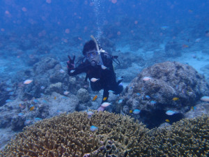 沖縄　ダイビング　慶良間