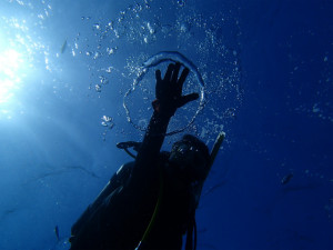 沖縄　ダイビング　慶良間　FUNダイビング