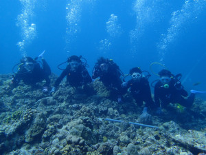 沖縄　ダイビング　慶良間　体験ダイビング