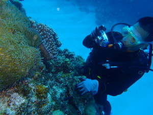 沖縄　ダイビング　慶良間　体験ダイビング