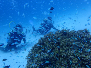 沖縄　ダイビング　慶良間　体験ダイビング