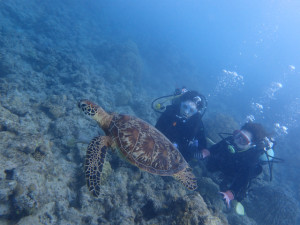 沖縄　ダイビング　慶良間　体験ダイビング