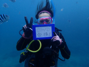 沖縄　ダイビング　OWD講習