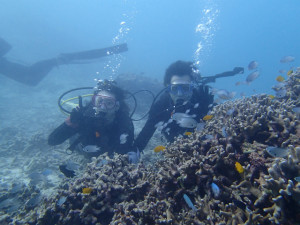 沖縄　ダイビング　本島近海　FUNダイビング　体験ダイビング