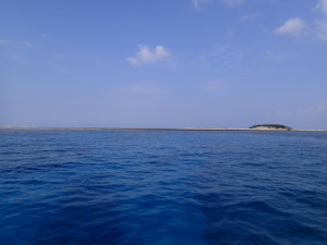 沖縄　ダイビング　慶良間　保全活動