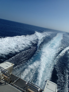 沖縄　ダイビング　慶良間　体験ダイビング　ウミガメ