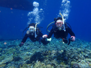 沖縄　ダイビング　慶良間　体験ダイビング　ウミガメ