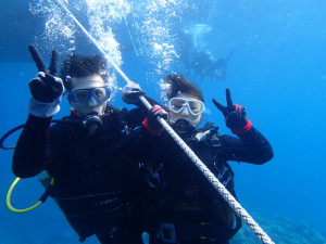 沖縄　ダイビング　慶良間　体験ダイビング　ウミガメ