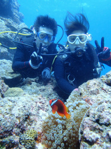 沖縄　ダイビング　慶良間　体験ダイビング　ウミガメ