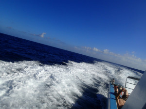 沖縄　ダイビング　慶良間　FUNダイビング